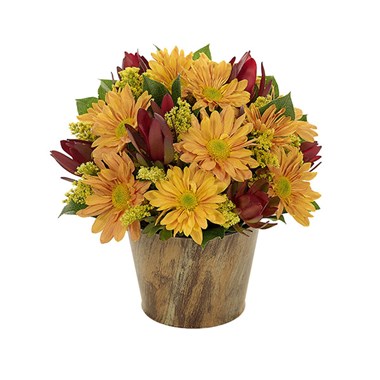 Harvest Woodland Wishes